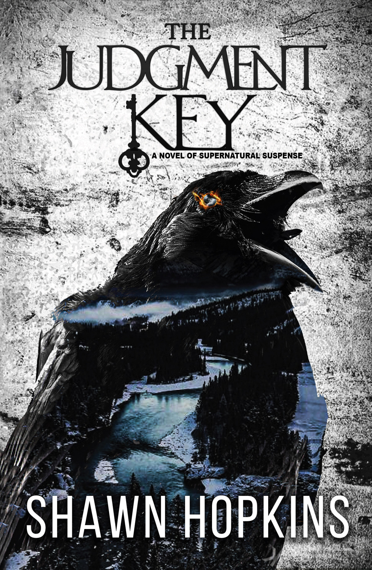 The Judgment Key Shawn Hopkins