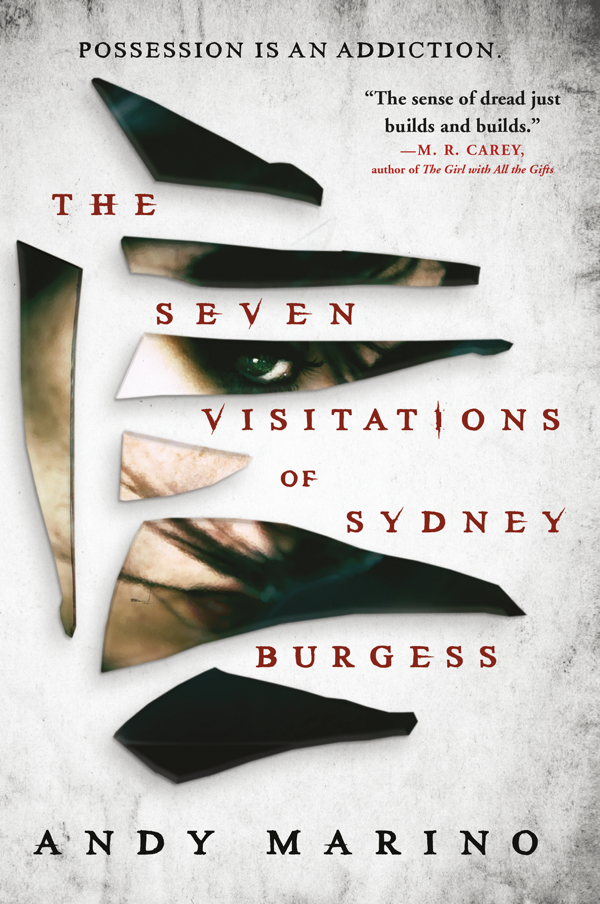 The Seven Visitations Of Sydney Burgess Andy Marino
