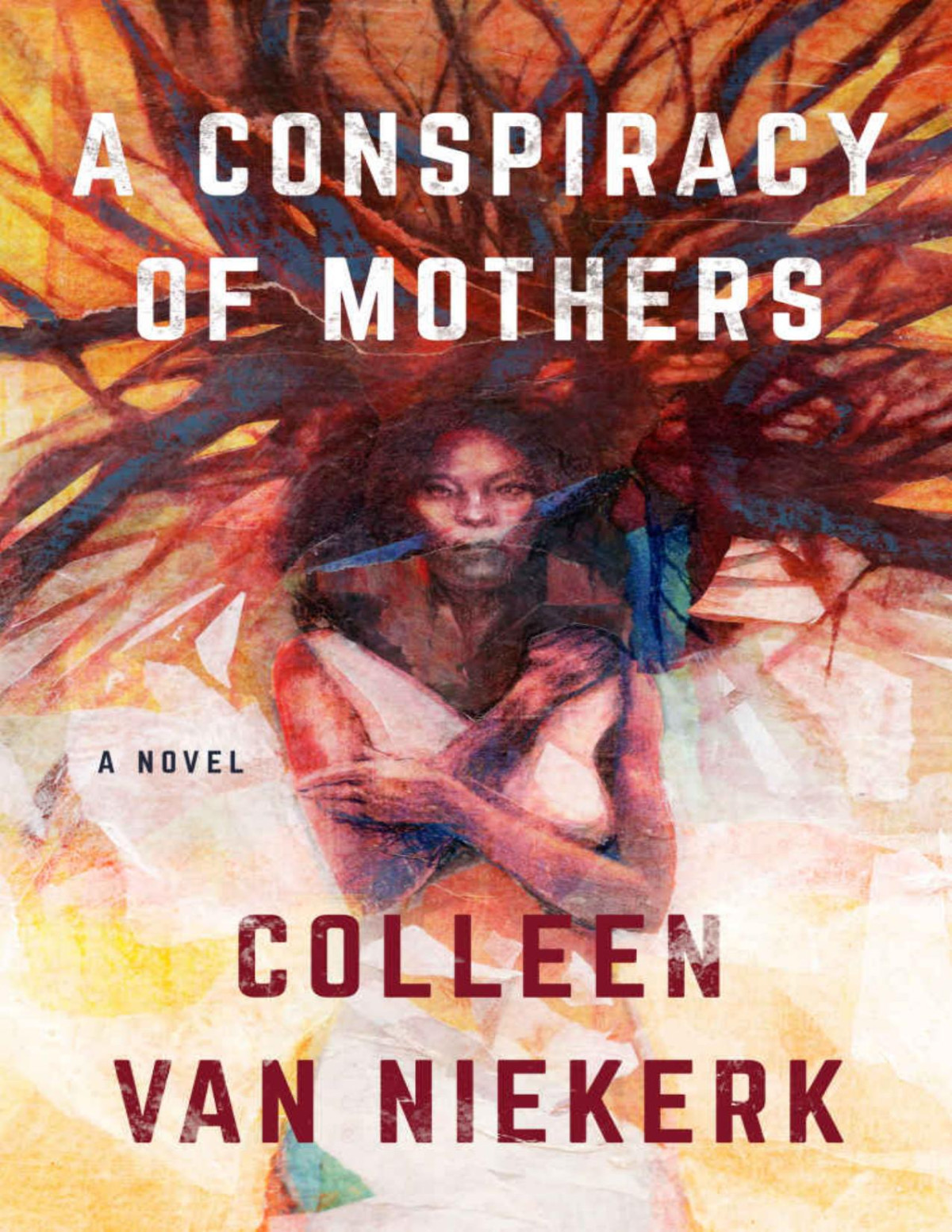 A Conspiracy Of Mothers A Novel Colleen Van Niekerk