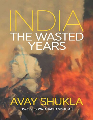 India The Wasted Years Avay Shukla