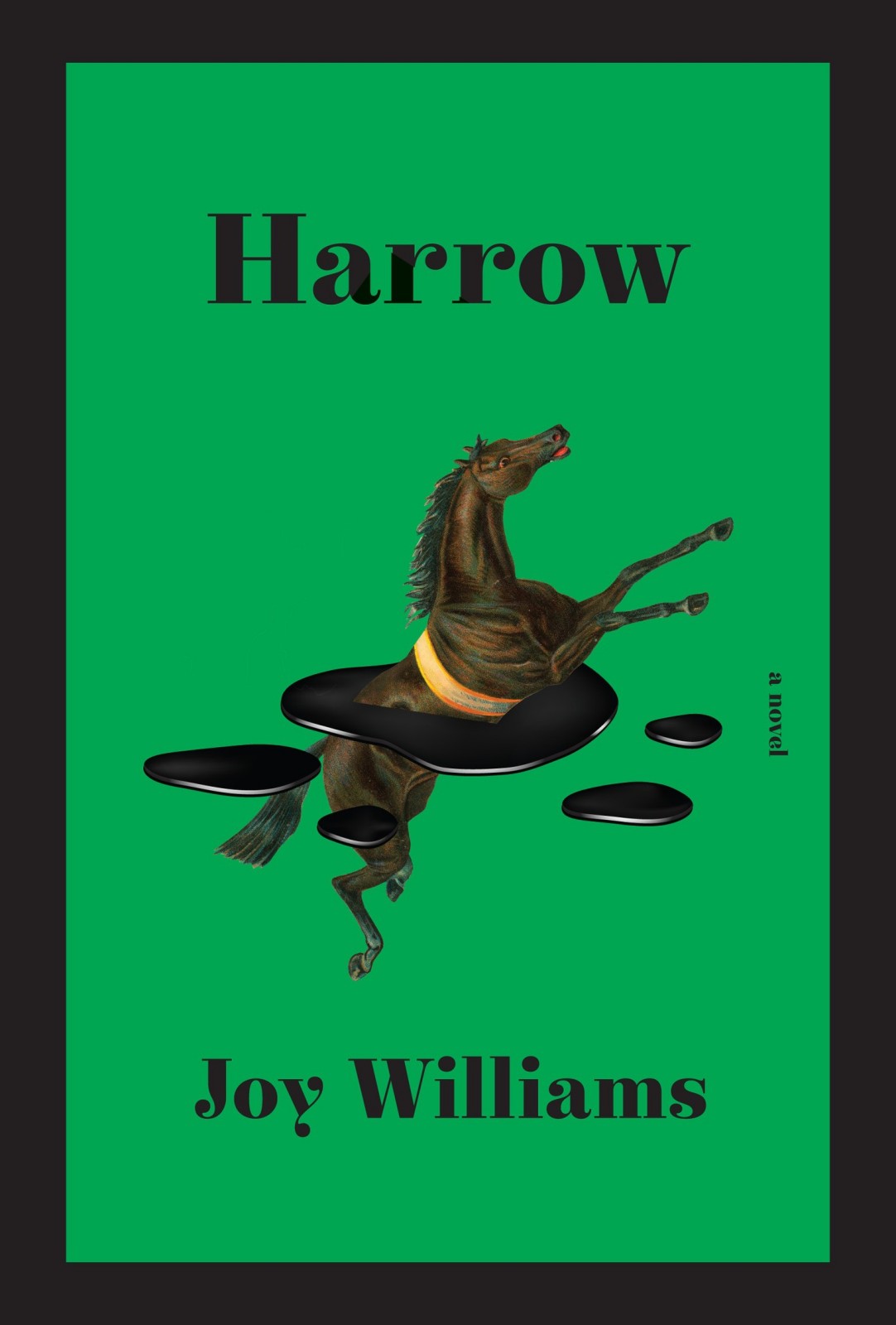 Harrow Joy Williams