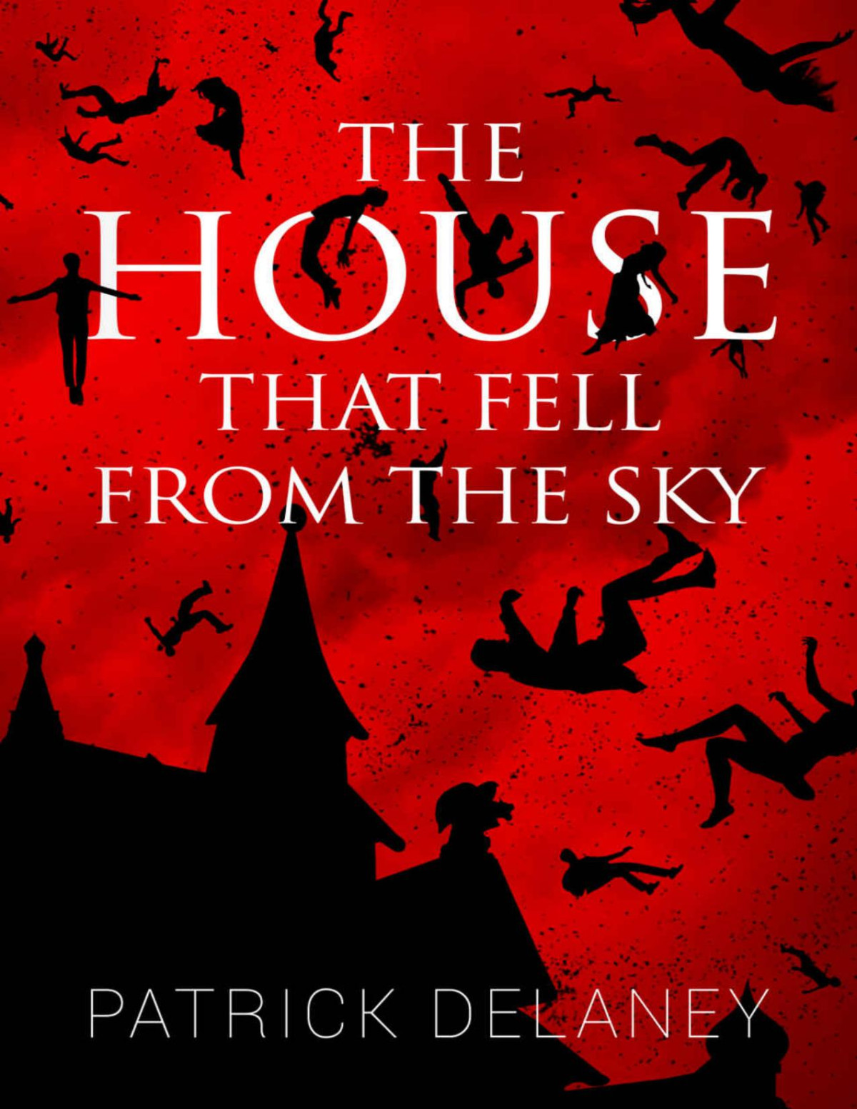 The House That Fell From The Sky Patrick Delaney