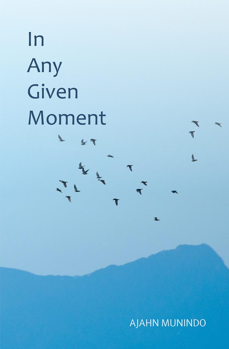 In Any Given Moment 1st Edition Ajahn Munindo