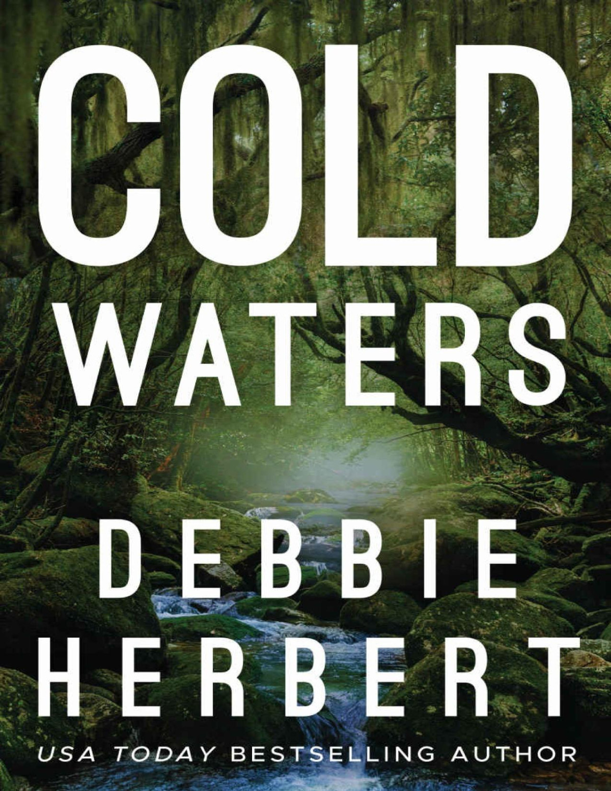 Cold Waters Kindle Debbie Herbert