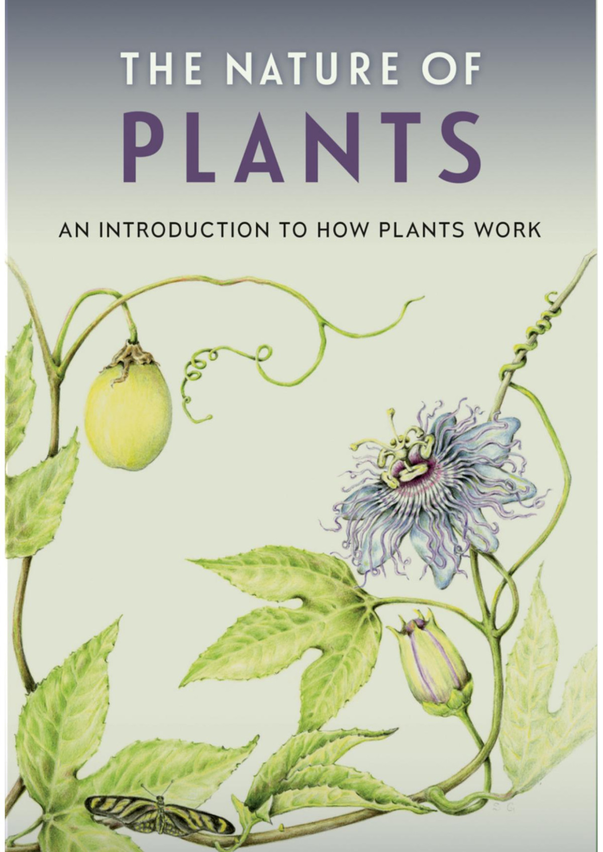 The Nature Of Plants Huegel Craig N