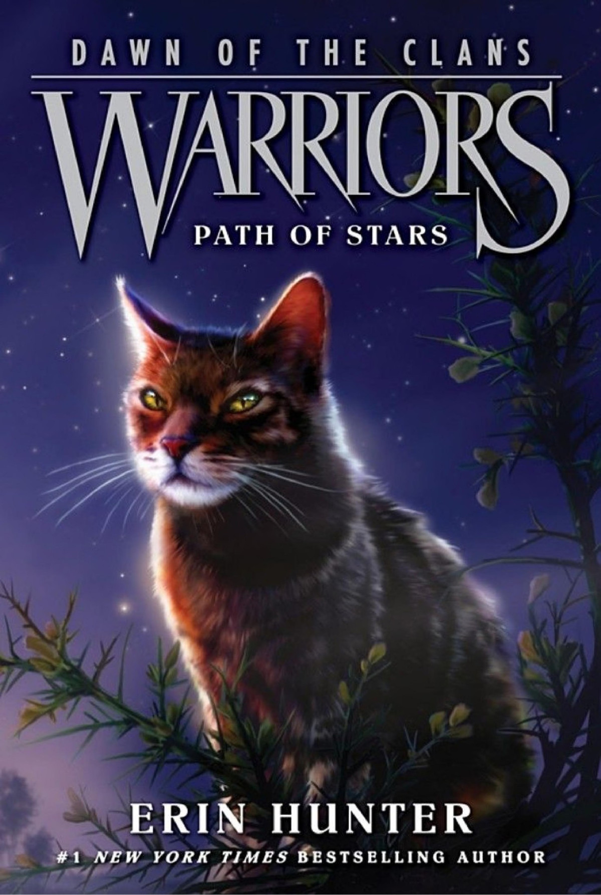 Warriors Dawn Of The Clans 6 Path Of Stars Erin Hunter