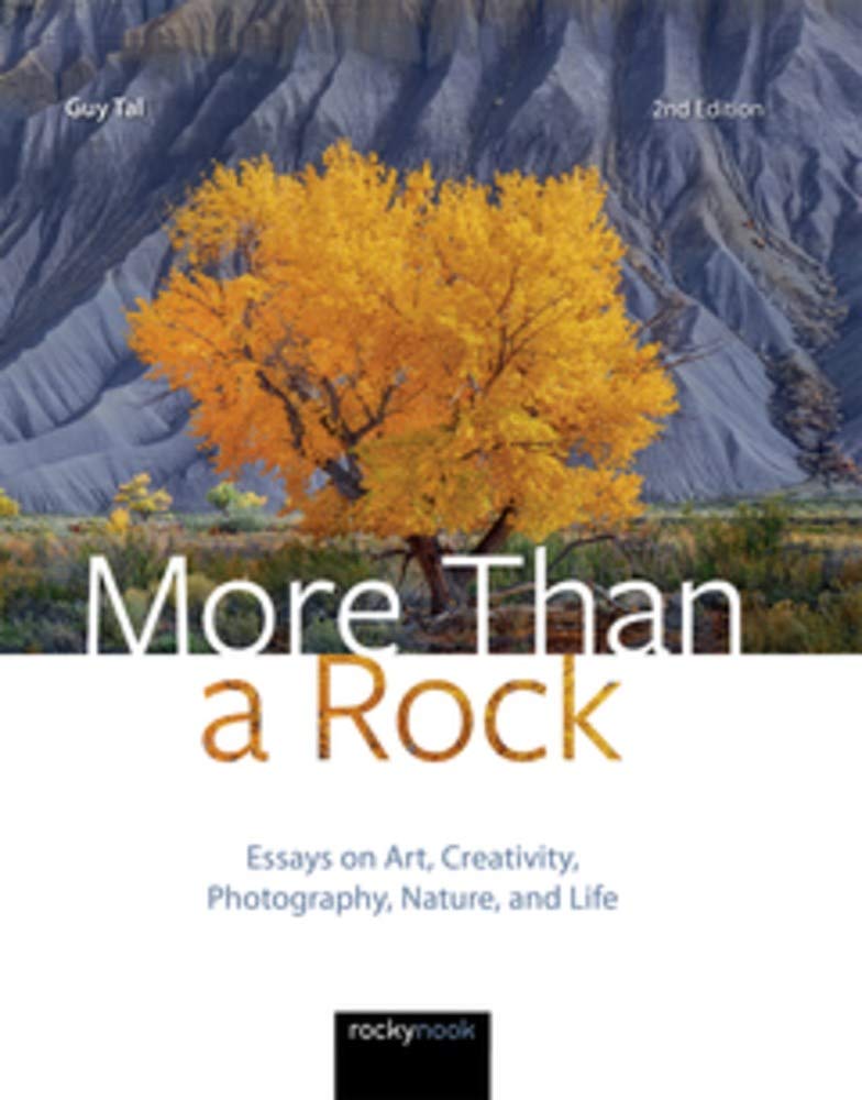 More Than A Rock 2nd Edition Essays On Art Creativity Photography Nature And Life 2nd Edition Guy Tal