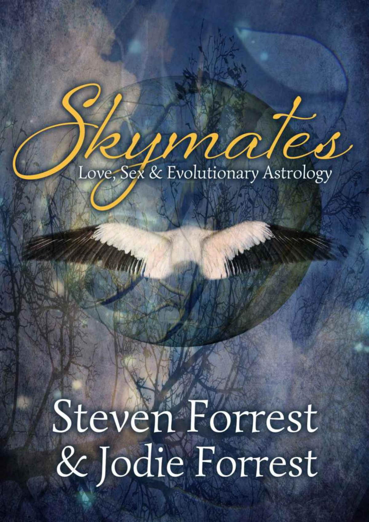 Skymates Steven Forrest Jodie Forrest