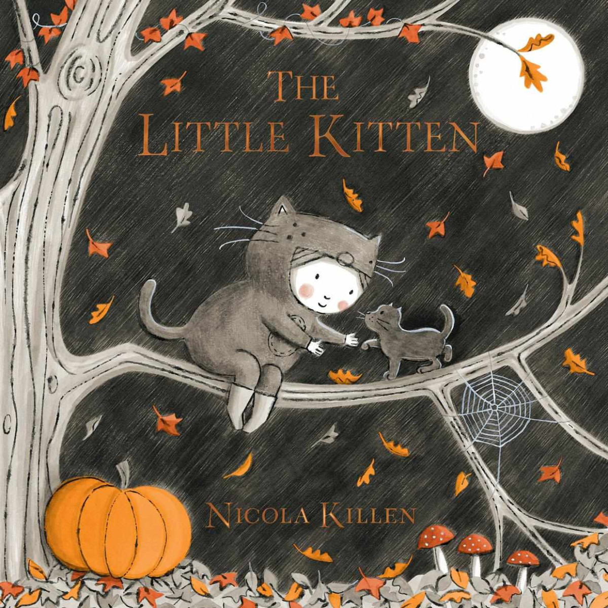 The Little Kitten My Little Animal Friend Illustrated Killen