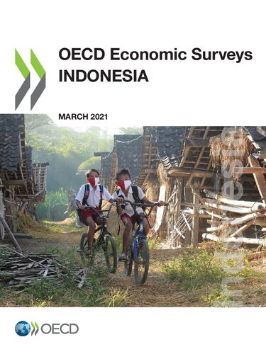 Indonesia 2021 Organisation For Economic Cooperation And Development Oecd
