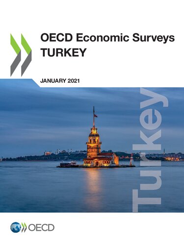 Oecd Economic Surveys Turkey January 2021 Oecd