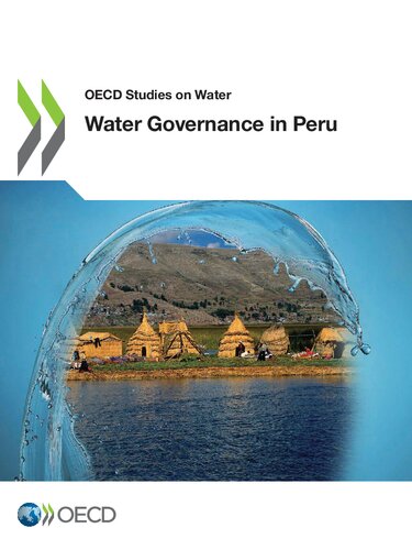Water Governance In Peru Oriano Romano Ed