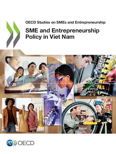 Sme And Entrepreneurship Policy In Viet Nam Oecd