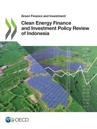 Clean Energy Finance And Investment Policy Review Of Indonesia Organisation For Economic Cooperation And Development