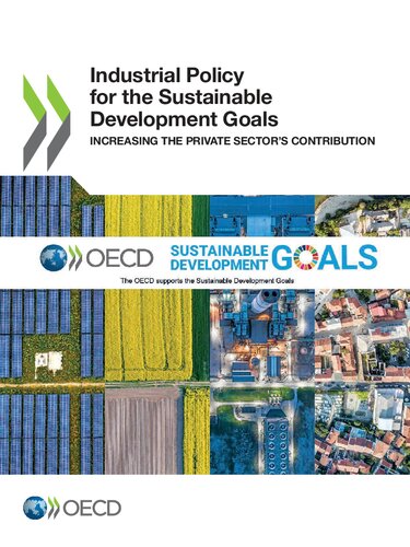 Industrial Policy For The Sustainable Development Goals Increasing The Private Sectors Contribution Oecd