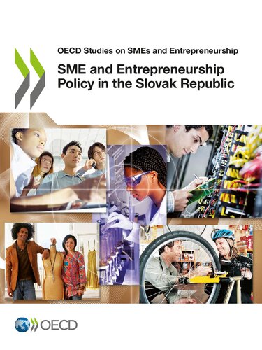 Sme And Entrepreneurship Policy In The Slovak Republic Oecd
