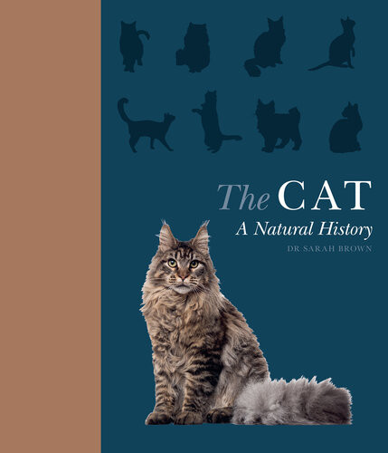 The Cat A Natural History Sarah Brown Phd