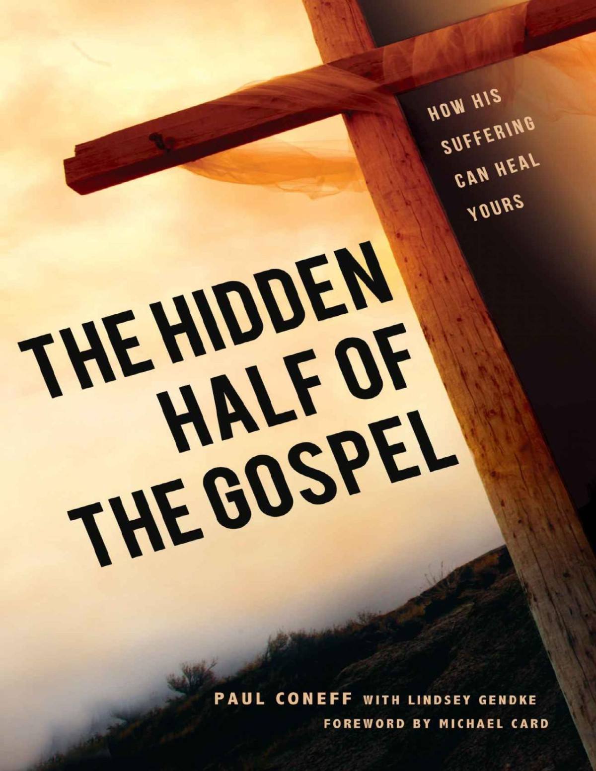 The Hidden Half Of The Gospel How His Suffering Can Heal Yours Paul Coneff Lindsey Gendke