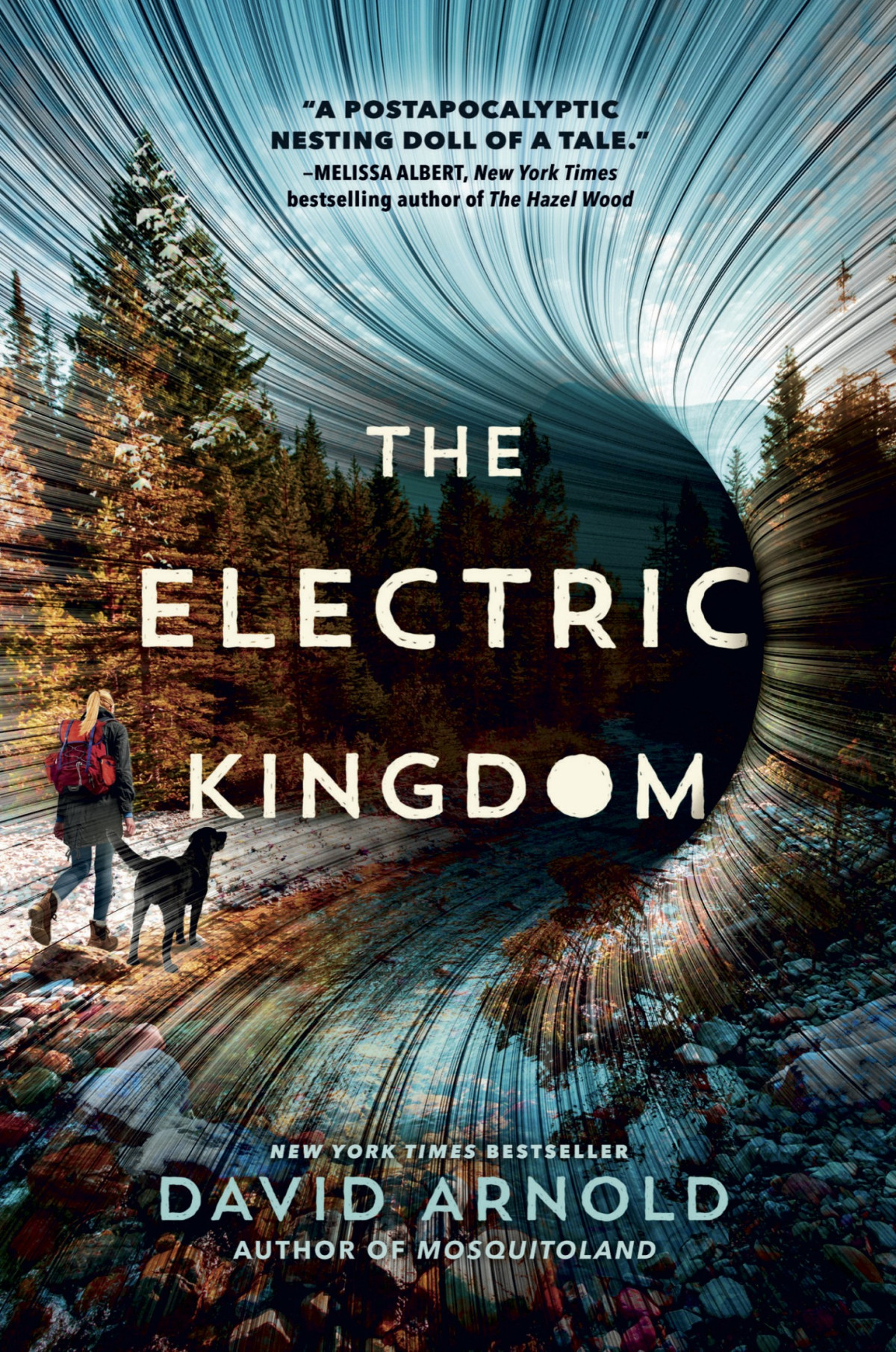 The Electric Kingdom David Arnold