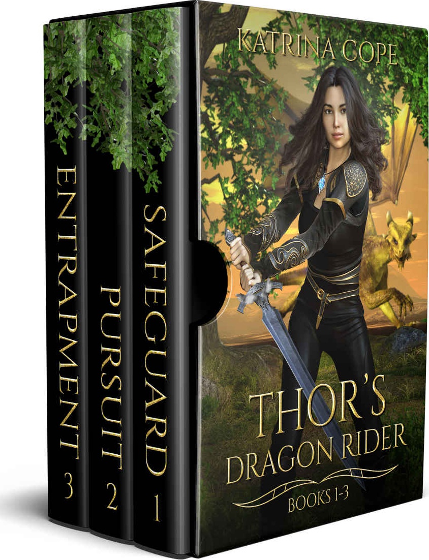 Thors Dragon Rider Books 1 3 Safeguard Pursuit Entrapment Asgards Dragon Rider Katrina Cope
