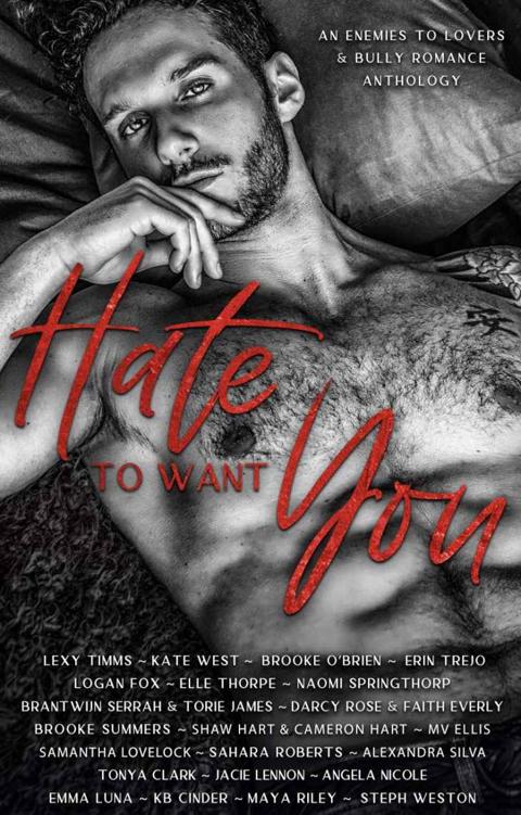 Hate To Want You An Enemies To Lovers Bully Romance Anthology Lexy Timms