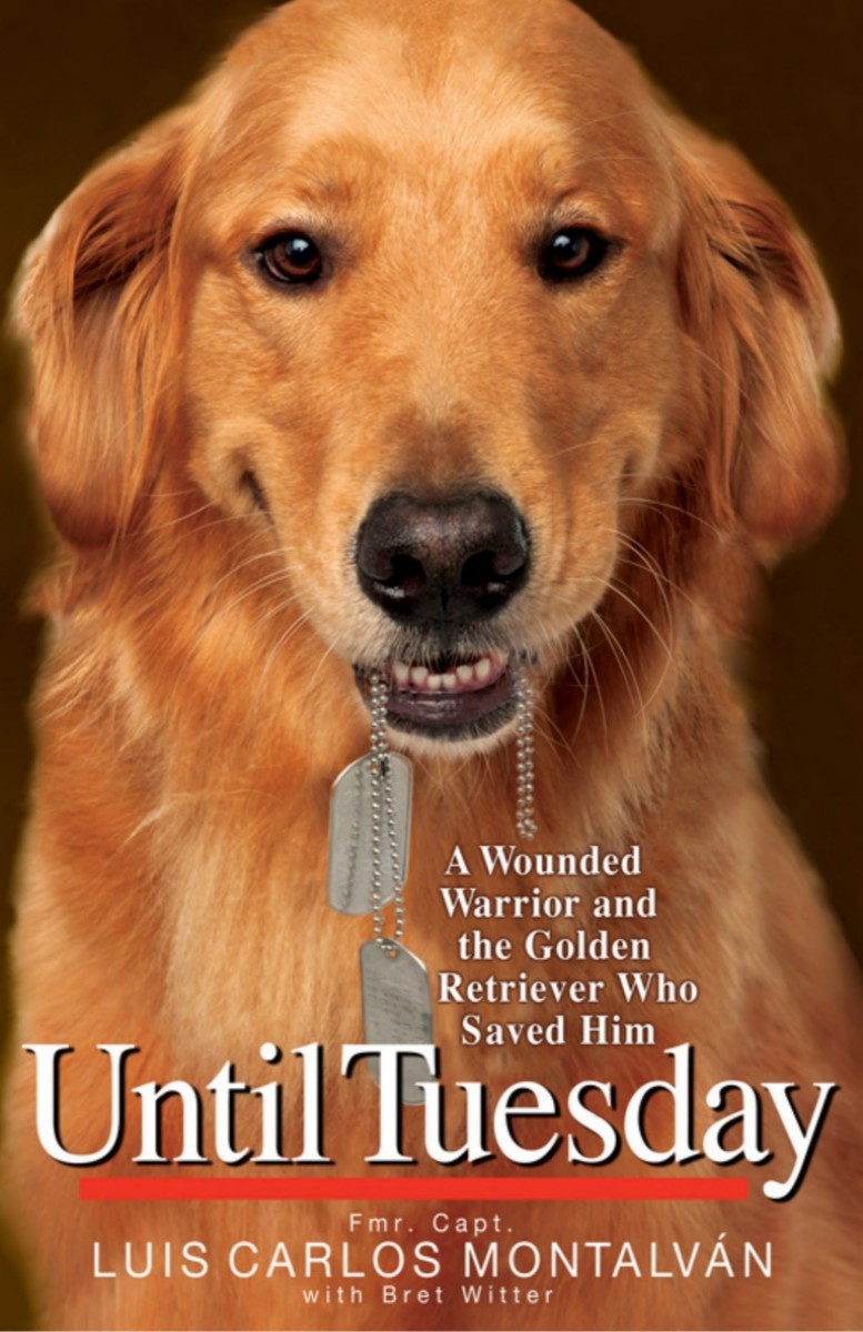 Until Tuesday A Wounded Warrior And The Golden Retriever Who Saved Him Luis Carlos Montalvn