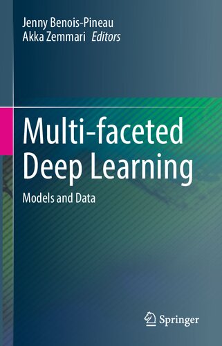 Multifaceted Deep Learning Models And Data 1st Edition Jenny Benoispineau