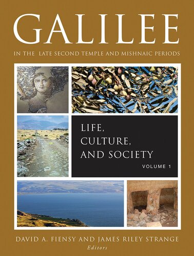 Galilee In The Late Second Temple And Mishnaic Periods Volume 1 Life Culture And Society James Riley Strange