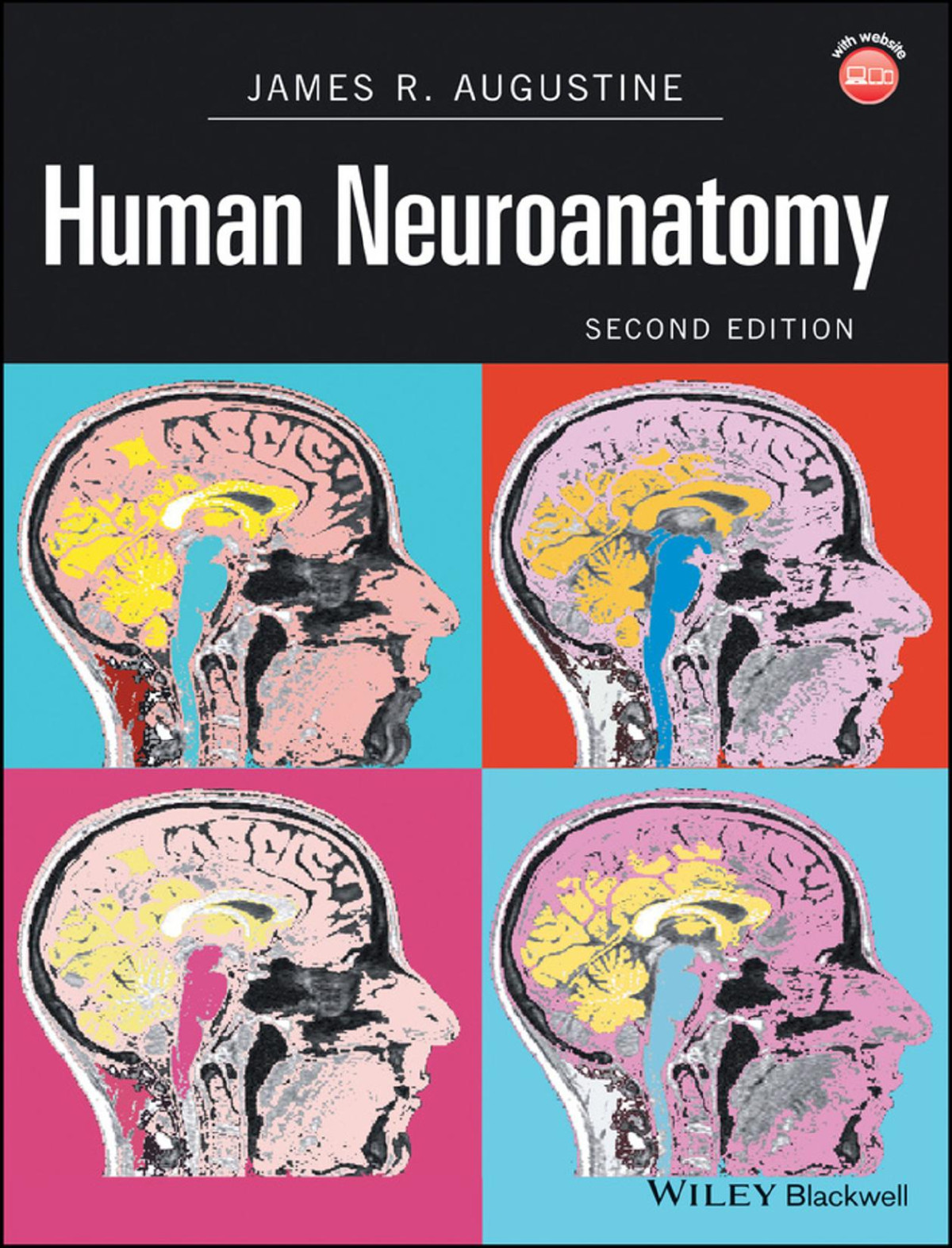 Human Neuroanatomy 2nd Edition 2nd Edition James R Augustine