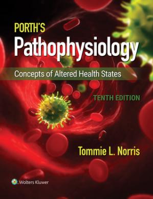 Porths Pathophysiology 2018 Tenth Edition Concepts Of Altered States 10th Edition Tommie Gun L Norris
