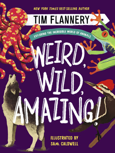 Weird Wild Amazing Exploring The Incredible World Of Animals Tim Flannery Sam Caldwell