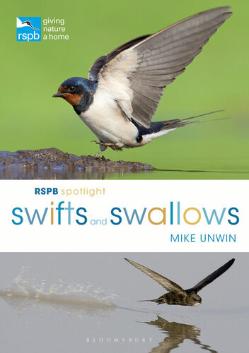 Rspb Spotlight Swifts And Swallows Mike Unwin