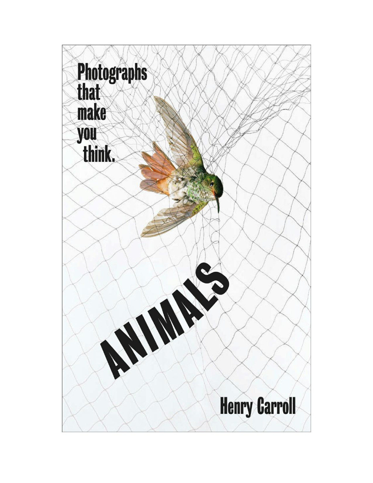 Animals Photographs That Make You Think Carroll Henry