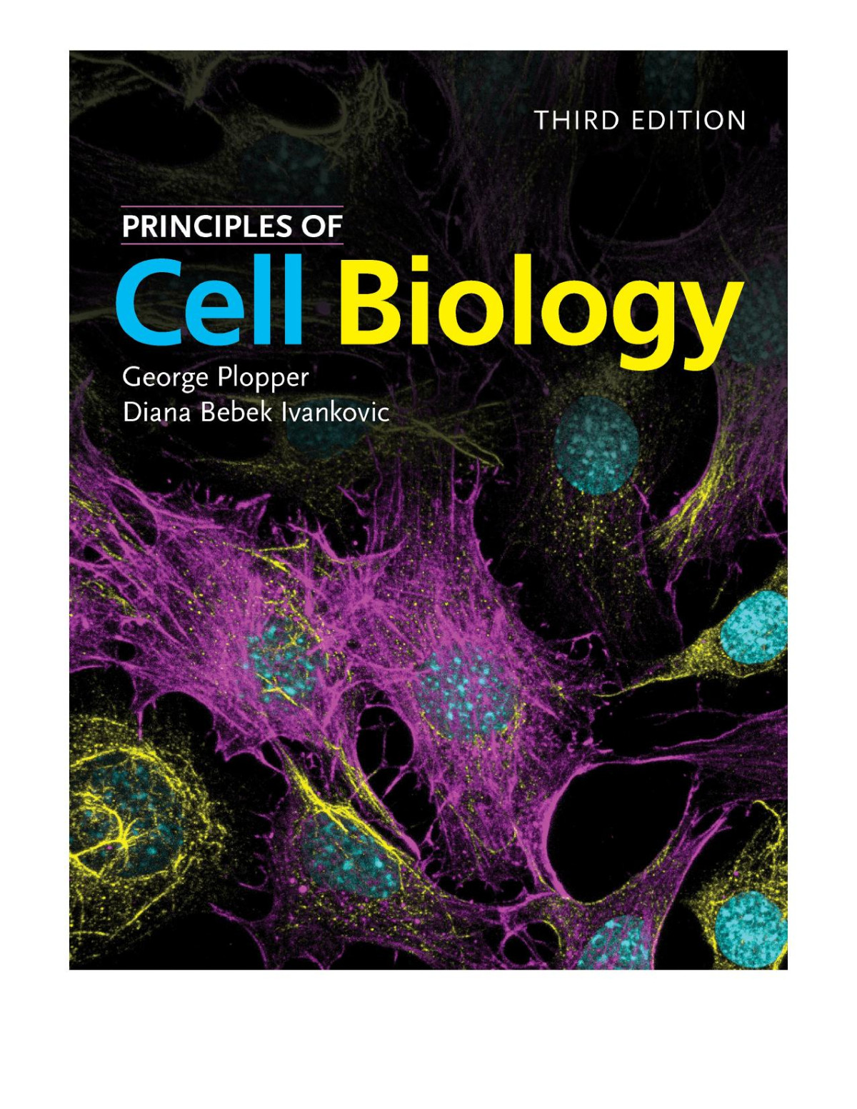 Principles Of Cell Biology Third Edition 3rd Edition George Plopper