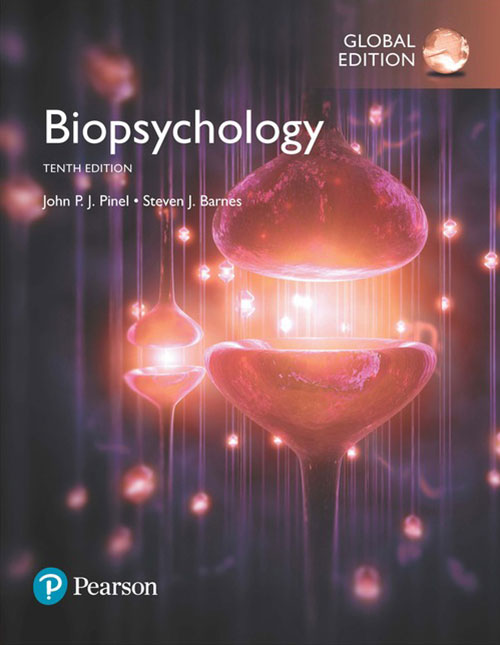 Pinel Biopsychology 10e Global Edition John P J Pinel Steven Barnes Pinel