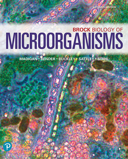Brock Biology Of Microorganisms 16 16th Edition Michael T Madigan Kelly S Bender Daniel H Buckley W Matthew Sattley David A Stahl