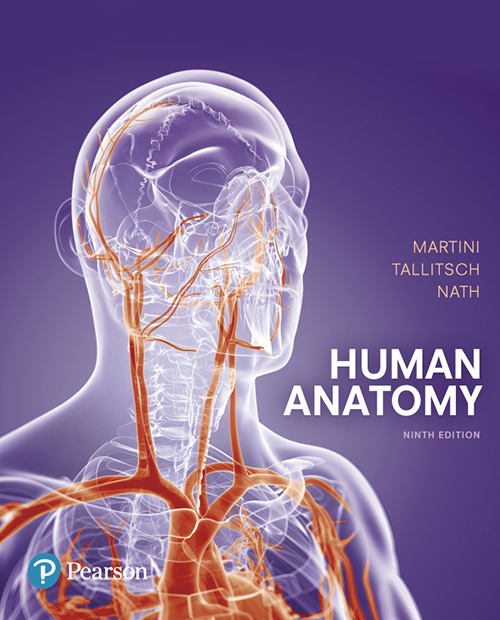 Masteringap Human Anatomy 9e Frederic H Martini Robert B Tallitsch Judi L Nath Martini
