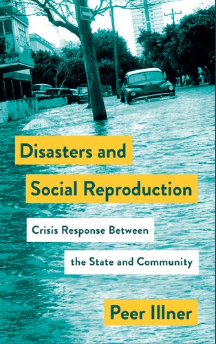 Disasters And Social Reproduction Crisis Response Between The State And Community Mapping Social Reproduction Theory Peer Illner