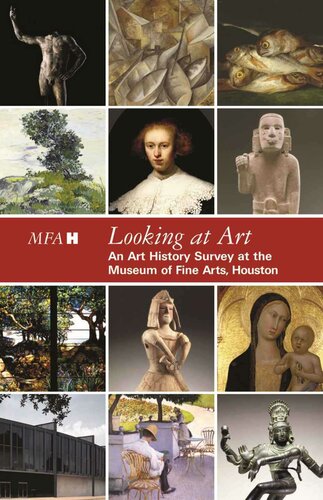 Looking At Art An Art History Survey At The Museum Of Fine Arts Houston 1st Edition The Museum Of Fine Arts Houston