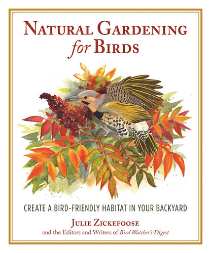 Natural Gardening For Birds Create A Birdfriendly Habitat In Your Backyard Second Julie Zickefoose