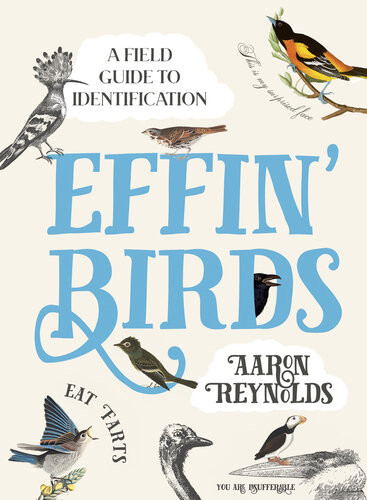 Effin Birds A Field Guide To Identification First Us Edition Aaron Reynolds