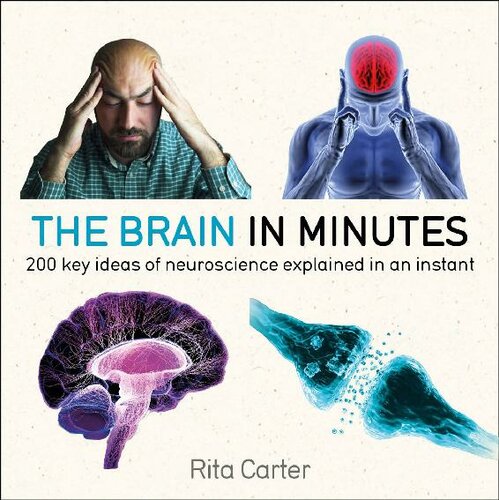 The Brain In Minutes Rita Carter