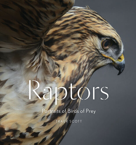 Raptors Portraits Of Birds Of Prey Traer Scott