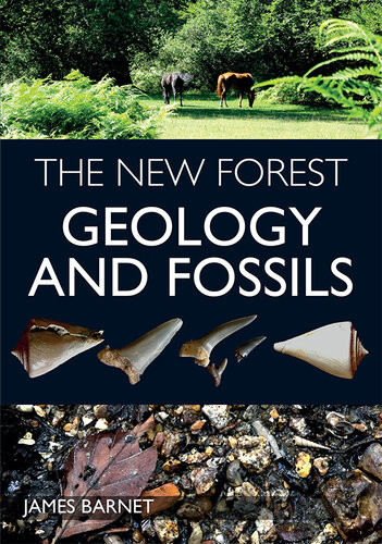 The New Forest Geology And Fossils James Barnet