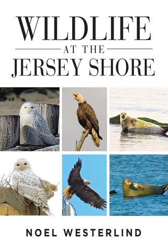 Wildlife At The Jersey Shore Noel Westerlind Sr