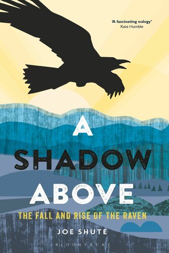 A Shadow Above The Fall And Rise Of The Raven Joe Shute