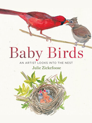 Baby Birds An Artist Looks Into The Nest Julie Zickefoose