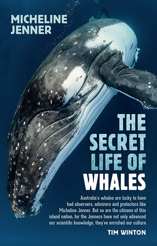 The Secret Life Of Whales A Marine Biologist Reveals All Micheline Jenner