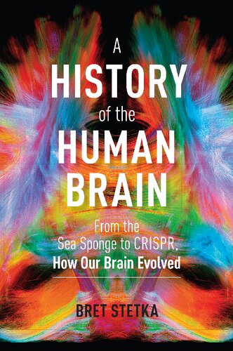 A History Of The Human Brain From The Sea Sponge To Crispr How Our Brain Evolved Bret Stetka