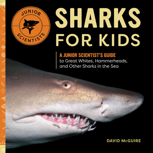 Sharks For Kids A Junior Scientists Guide To Great Whites Hammerheads And Other Sharks In The Sea David Mcguire